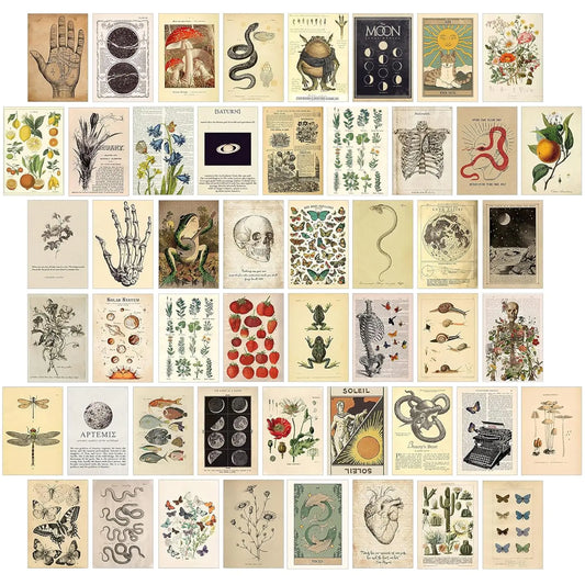 Vintage Charm Collage Set 50PC for Chic Room Decor